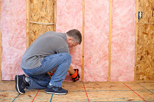 Best Cellulose Insulation in Northfield, KY