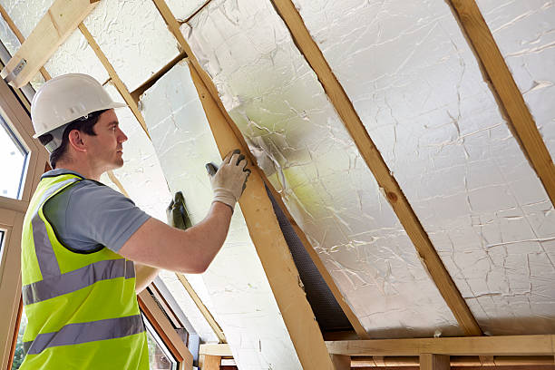 Best DIY Insulation Kits and Guidance in Northfield, KY